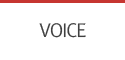 VOICE